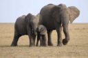 Meraviglie della Namibia speciale Capodanno